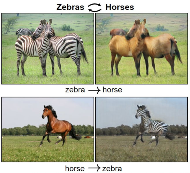 zebra-horses