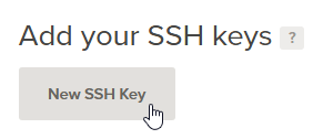 5 - SSH anahtarı ekleme bölümü